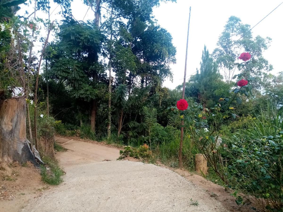 Apurvi Homestay Ella Bagian luar foto